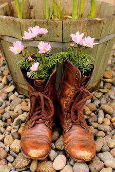 a pair of boots with flowers growing out of them