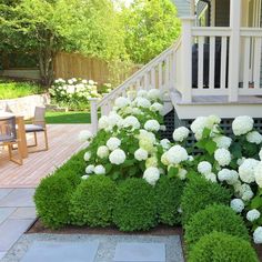 a small garden with white flowers and green plants on the ground next to a wooden deck