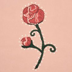 two red flowers on a pink background with white dots