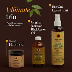 Elevate your hair care routine with the Tropic Isle Living bundle, featuring three essential products: the Jamaican Black Castor Oil (original), Hair Gro Leave-in Conditioning Mist, and Hair Food. 1. Hair Gro Leave-in Conditioning Mist: This specially formulated mist supports healthy hair growth while adding moisture and manageability to all hair types. Enjoy conditioned, detangled, and refreshed hair that feels stronger, softer, and easier to style. Enriched with Jamaican black castor oil, it h Coconut Hair, Castor Oil For Hair, Extra Virgin Coconut Oil, Jamaican Black Castor Oil, Black Castor Oil, Neem Oil, Dry Scalp, Virgin Coconut Oil, Oil Shop