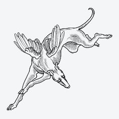 an animal flying through the air with its wings spread