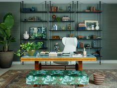 a living room filled with lots of furniture and bookshelves next to a plant