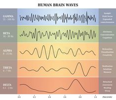 Neurofeedback Therapy, Operant Conditioning, Brain Mapping, Brain Scan, Diagram Chart, Behavior Disorder, Developmental Delays, Brain Activities