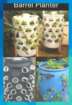 several different types of garden pots with plants growing in them and the words barrel planter on