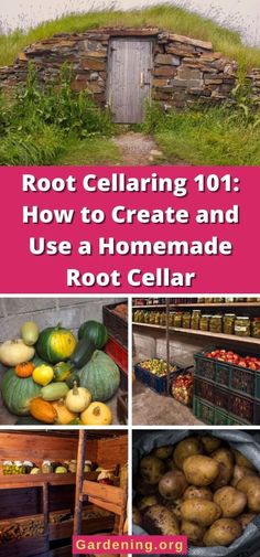 the cover of root cellar 101 how to create and use a homemade root cellar