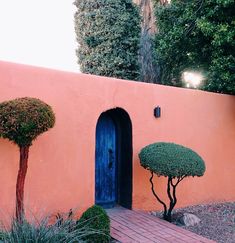 an orange wall with blue door and two small trees in the front yard, surrounded by shrubbery