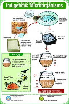 an info sheet describing how to use the ingredients in this recipe for insects and other animals