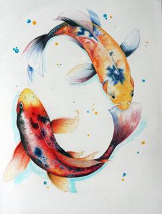 two koi fish are swimming in the water, with bubbles coming out of their tails