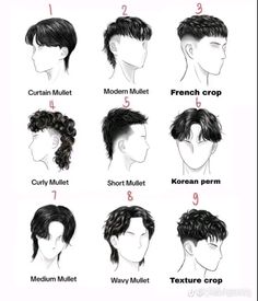 Hair Types Male, Male Haircuts For Curly Hair, Guys Haircuts Names, Short Hair Male Haircuts, Fluffy Hair Cuts For Boys, Names Of Haircuts Men, Short Hairstyles For Trans Men, Hairstyles Names Mens, School Photos Hair