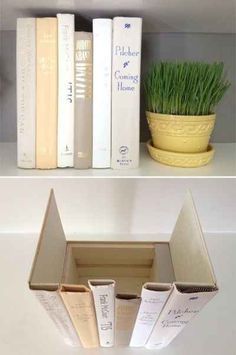 an image of two shelves with books and plants on them, one is open to show the