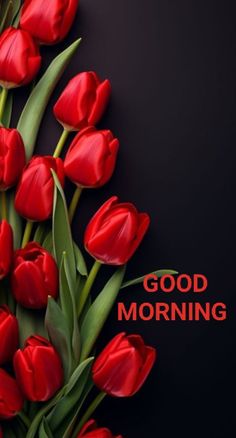 red tulips with the words good morning on it