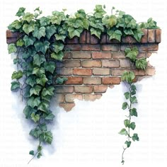 ivy growing up the side of a brick wall with green leaves and vines on it