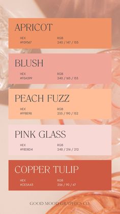 Peach Fuzz Color Palette Rust Pink Color Palettes, Pink Peach Colour Palette, Colour Palette Inspiration Pink, 15 Color Palette, Peach Colors Palette, Red Pink And Orange Color Palette, Peachy Pink Color Palette, Pastel Orange Palette, Pastel Peach Color Palette