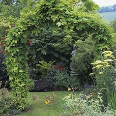 a garden with lots of plants and flowers