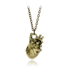 PRICES MAY VARY. Title: Meiligo® Fashion Doctor Nurse Gift Human Anatomy Necklace Jewelry Just breathe letter Anatomical Lung Heart Charm Necklace. Product Type: Departments > Women > Jewelry > Necklaces > Pendant Necklaces Heart Necklace Vintage, Anatomy Heart, Anatomical Heart Necklace, Vintage Anatomy, Heart Charm Necklace, Anatomical Heart, Chunky Jewelry, Bronze Pendant, Just Breathe