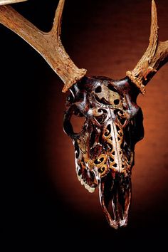 an animal's skull with large antlers on it