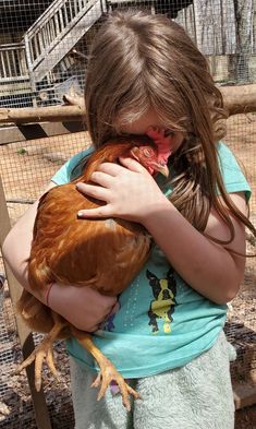 Chicken Pics, Fancy Chickens, Dream's Cat, Show Cattle, Beautiful Chickens, Chicken Lovers