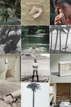 a collage of photos with palm trees and people in the middle one has a toilet