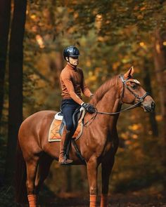 a woman riding on the back of a brown horse through a forest filled with trees