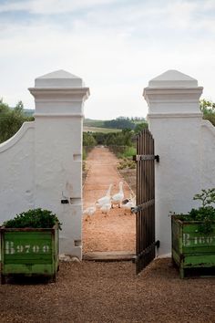 an open gate leading to two green planters