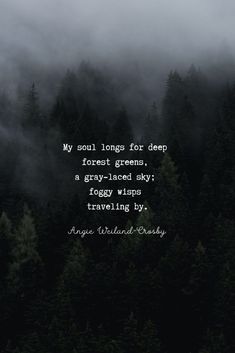 trees and fog with the quote my soul longs for deep forest greens, a crazy - faced sky