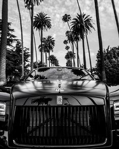 a black and white photo of a rolls royce parked in front of palm trees on a sunny day