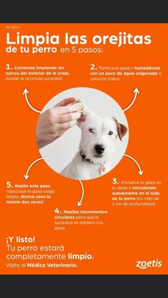 an orange poster with instructions on how to brush the dog's hair in spanish