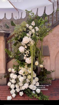 an arrangement of white flowers and greenery on display