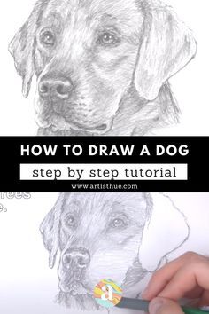 how to draw a dog step by step with pencils and watercolor paper for beginners