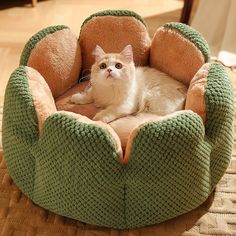 a white cat laying in a green and brown pet bed