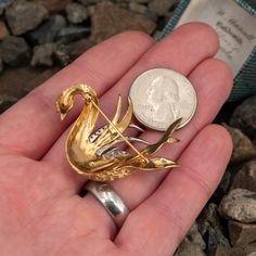 This captivating vintage swan brooch is decorated with engraved feathers and is accented with fifteen (15), bead set, round single cut diamonds. The brooch measures 42.8mm X 44.6mm. The brooch is finished with a pin stem and catch. Luxury Art Deco Yellow Gold Brooch, Luxury Ornate Yellow Gold Brooches, Swan Brooch, Art Nouveau Yellow Gold Brooch, Vintage Gold Carved Brooches, Brand Presentation, Old Boxes, December Birthstone, Vintage Diamond