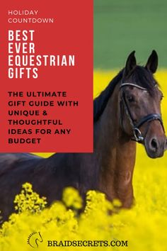 a brown horse standing on top of a field of yellow flowers next to a red sign that says best equestrian gifts