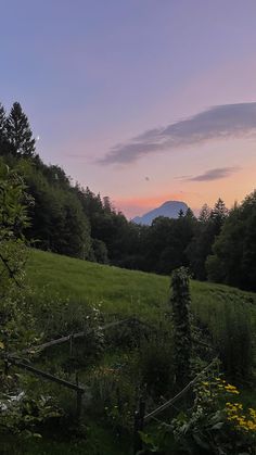 the sun is setting over a grassy field with mountains in the background