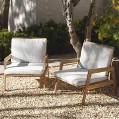 two chairs sitting next to each other in front of a tree and gravel area with rocks