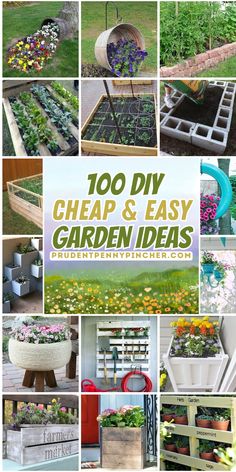 many different types of plants and flowers are shown with the words, 100 diy cheap & easy garden ideas