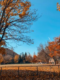 a park with trees and buildings in the background on a sunny day, surrounded by fallen leaves