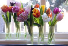 several vases filled with different colored tulips sitting on a window sill