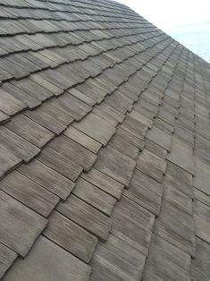 a bird is perched on the shingles of a roof with water in the background