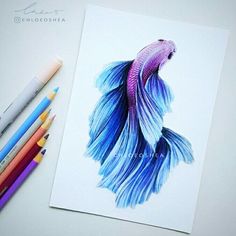 a drawing of a blue and purple fish next to colored pencils