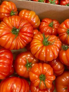 a box full of red and orange tomatoes