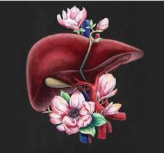 a painting of the liver and flowers on a black background