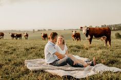 a man and woman sitting on a blanket in the middle of a field with cows