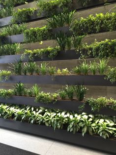 an indoor garden with many plants growing on the wall and in the center, there is a large vertical planter filled with greenery