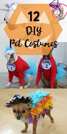 two dogs dressed up in costumes with the caption 12 diy pet costumes