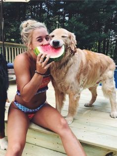 Dog Tumblr, Eating Watermelon, Dog Photoshoot, 강아지 그림, Golden Retrievers, Dog Photography, 인물 사진, Dog Photos, 귀여운 동물