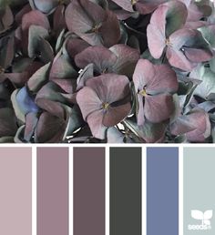 the color scheme is purple and gray with green leaves on it, as well as some other