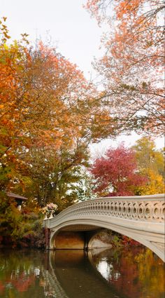 a white bridge over a body of water surrounded by trees with orange and red leaves