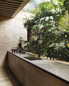 an outdoor kitchen with plants growing on the wall and sink in the center, surrounded by wood flooring