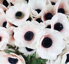 an arrangement of white and black flowers