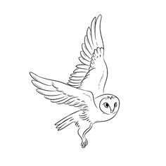 an owl flying with its wings spread